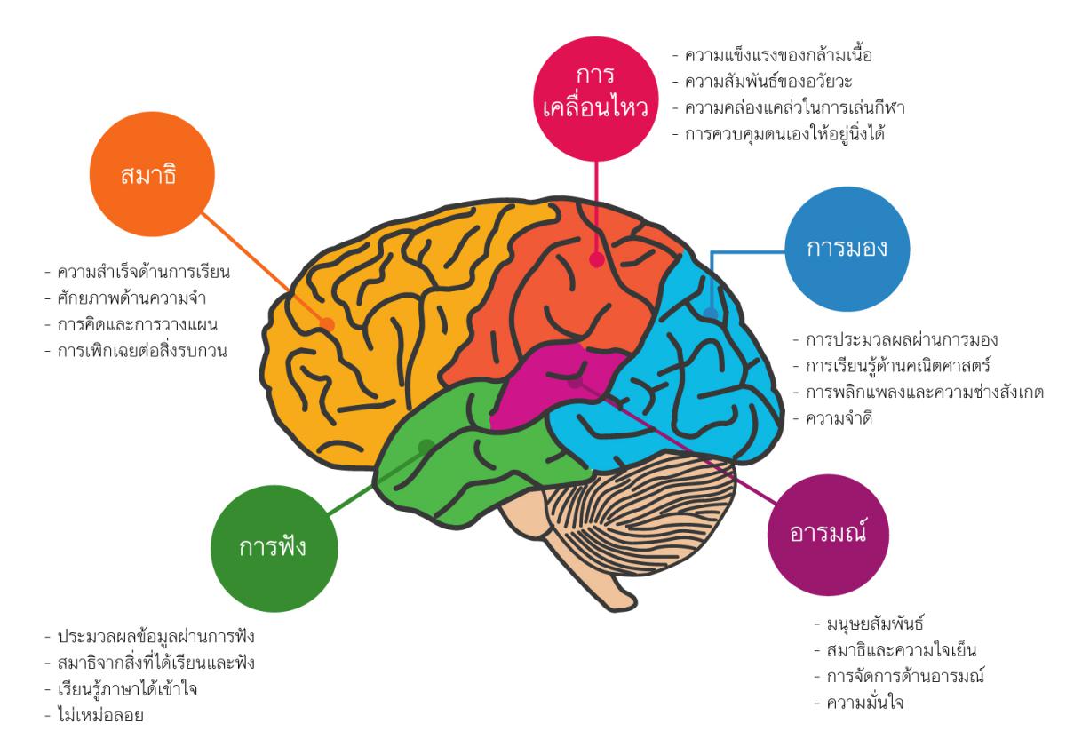 ทำไมถึงควรเลือกฝึกสมาธิกับ Brainfit | Brainfit Thailand