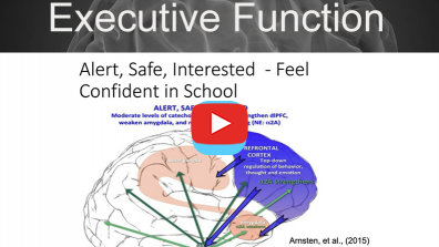 Developing Executive Function from Kindergarten through High School