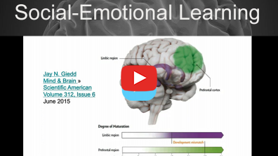The Positive Student Impact of Social Emotional Learning and Neuroscience-Based Approaches
